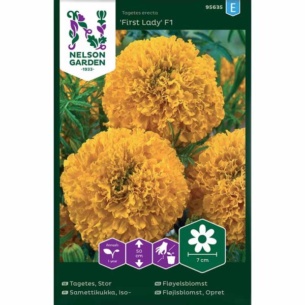Zoom billede af Afrikansk tagetes 'Inca Gold' F1