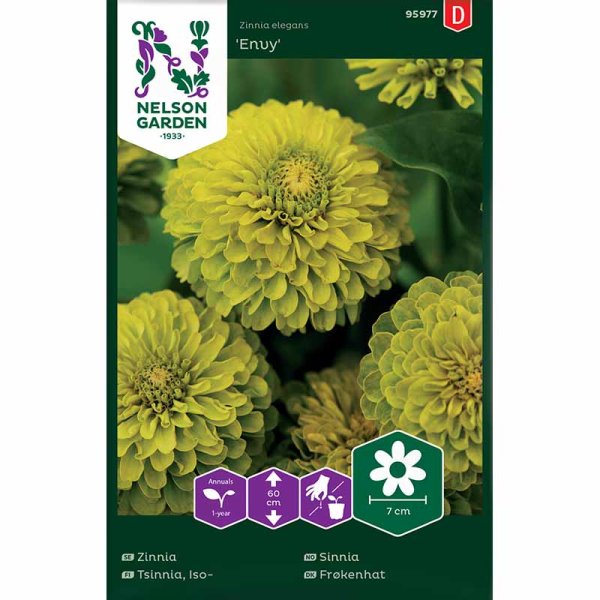 Zoom billede af Zinnia 'Envy'