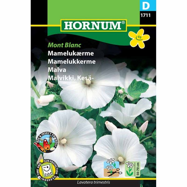 Zoom billede af Stokrose 'Mont Blanc'