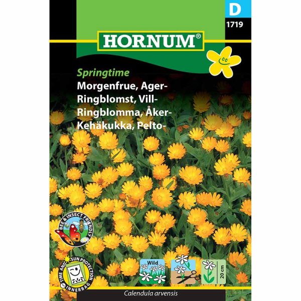 Zoom billede af Morgenfrue 'Springtime'