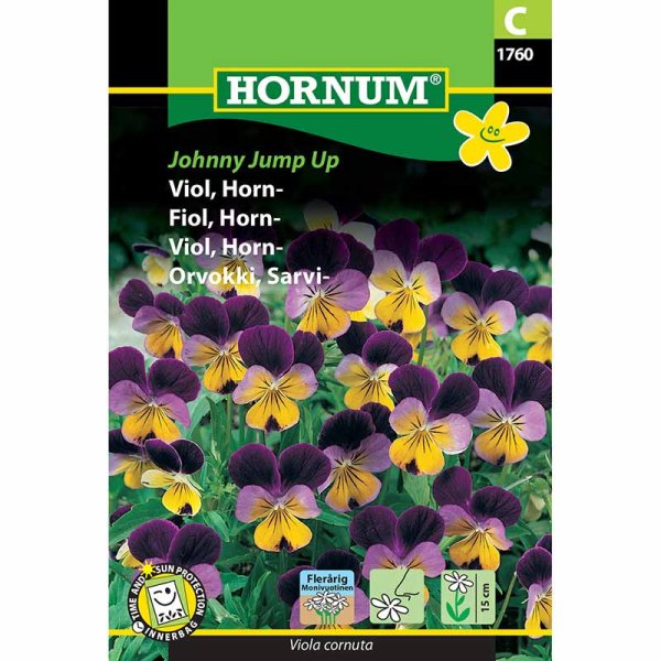 Zoom billede af Hornviol 'Johnny Jump Up'
