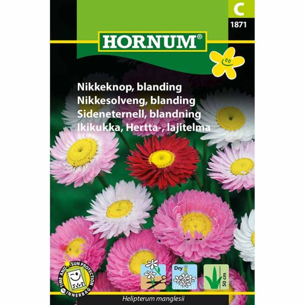 Zoom billede af Evighedsblomst