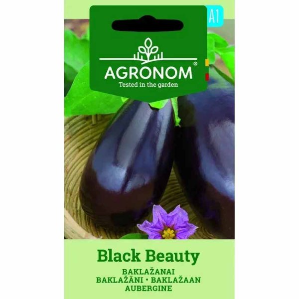 Zoom billede af Aubergine 'Black beuty'