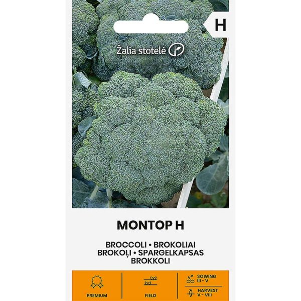 Zoom billede af Broccoli 'Montop' H