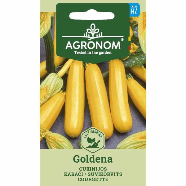Zoom billede af Squash 'Goldena'