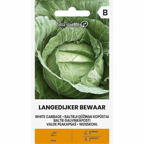 Zoom billede af Hvidkål 'Langedijker bewaar'