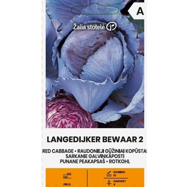 Zoom bilde av Rødkål 'Langedijker bewaar 2'