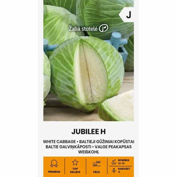 Zoom billede af Hvidkål 'Jubilee' H