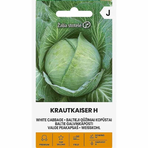Zoom billede af Hvidkål 'Krautkaiser' H