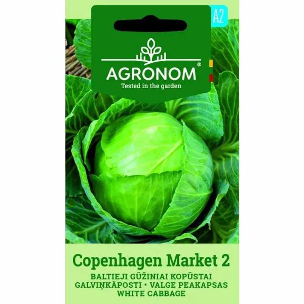 Zoom billede af Hvidkål 'Copenhagen market'