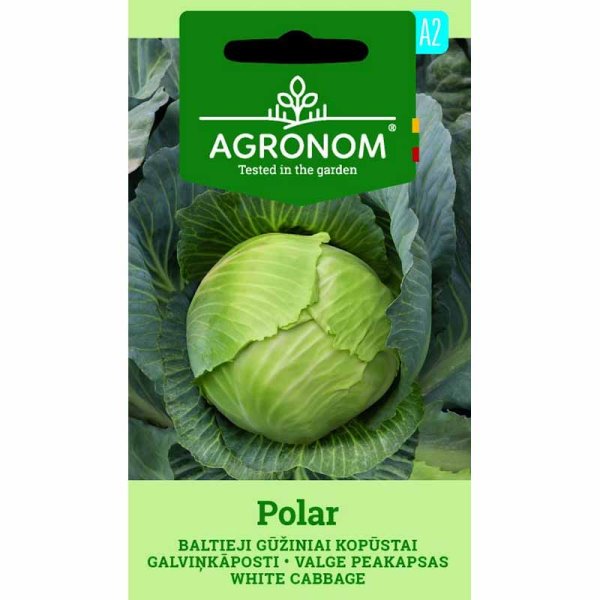 Zoom billede af Hvidkål 'Polar'