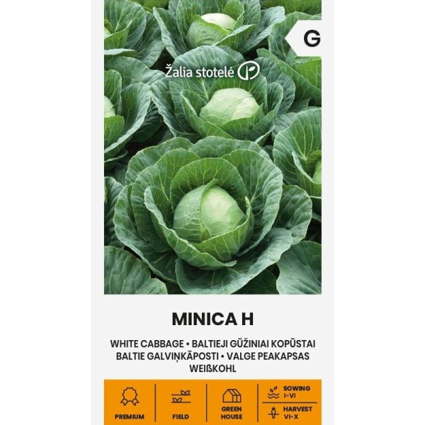 Zoom billede af Hvidkål 'Minica' H
