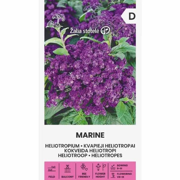 Zoom billede af Heliotrop 'Marine'
