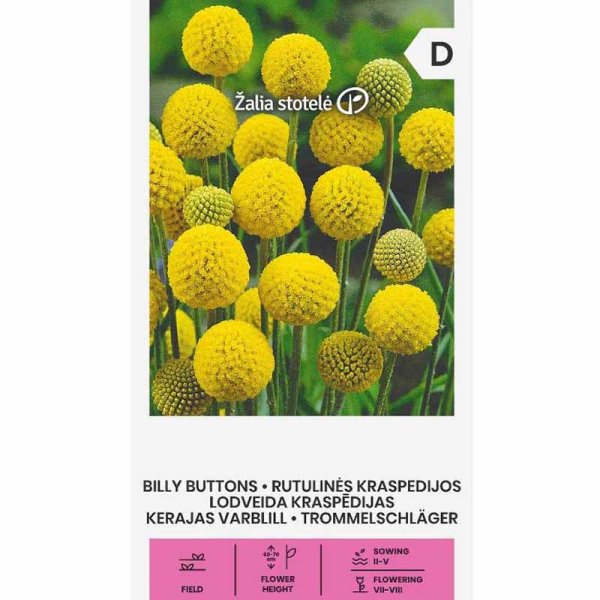 Zoom billede af Billy Button 'Billy buttons'
