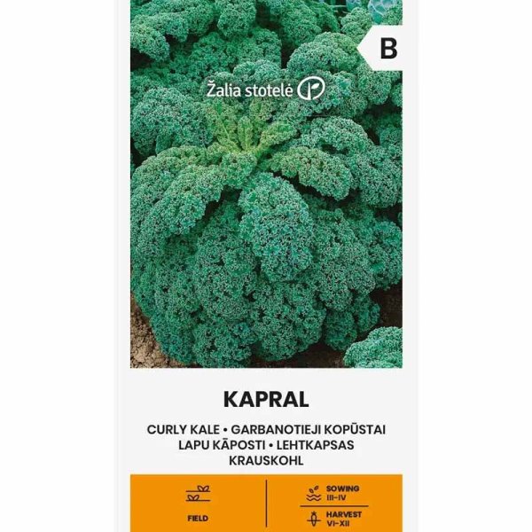 Zoom billede af Grønkål 'Kapral'
