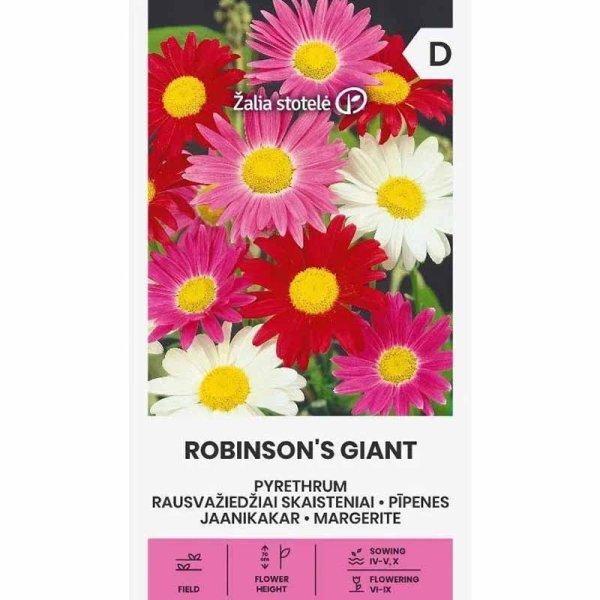 Zoom billede af Painted Daisy 'Robinson's Giants'