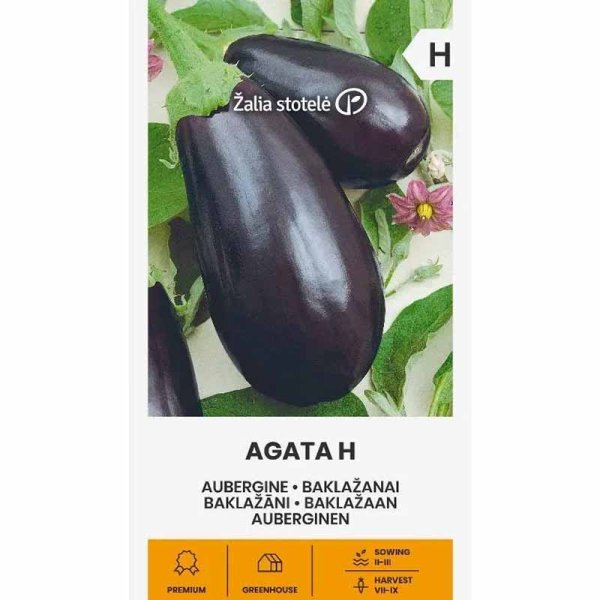 Zoom billede af Aubergine 'Agata' H