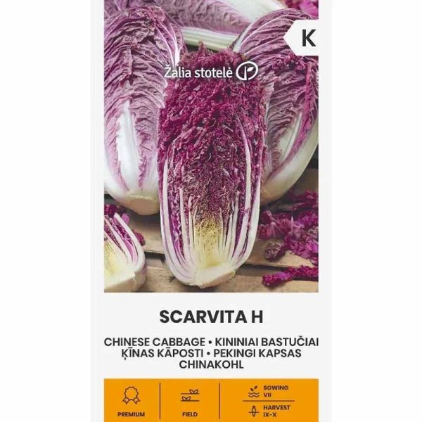 Zoom billede af Kinakål 'Scarvita' h