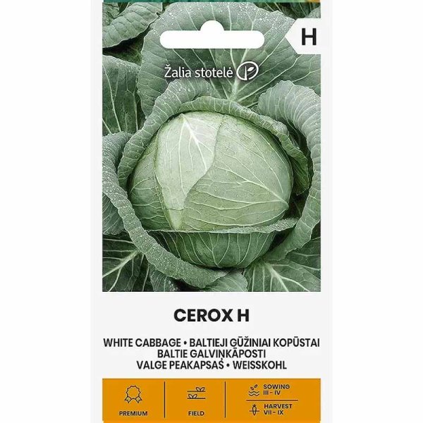 Zoom billede af Hvidkål 'Cerox' H