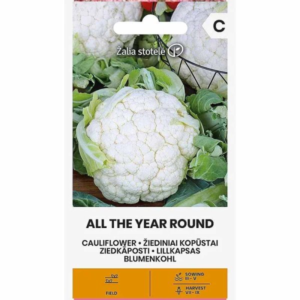 Zoom bilde av Blomkål 'All the year round'