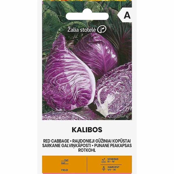 Zoom billede af Rødkål 'Kalibos'