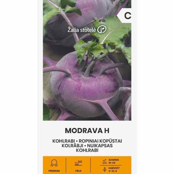 Zoom billede af Knudekål 'Modrava' h