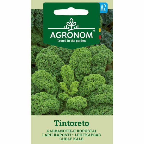 Zoom bilde av Grønnkål 'tintoreto'