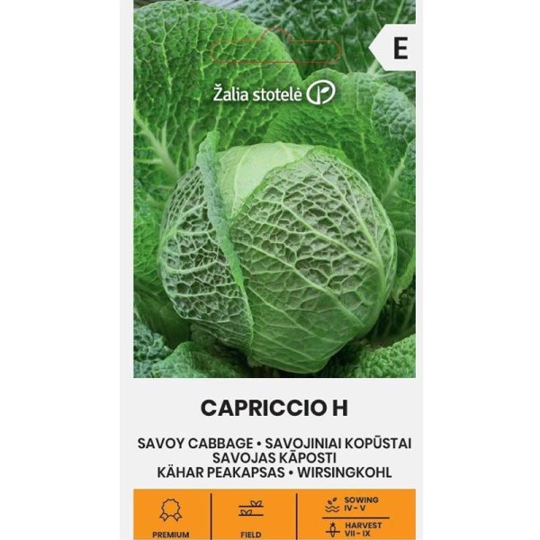 Zoom bilde av Savoykål 'Cappriccio' h