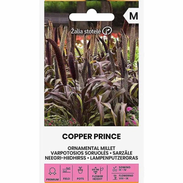 Zoom billede af Perlemillet 'Copper Prince' h