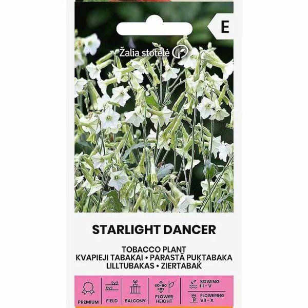 Zoom billede af Prydtobak 'Starlight Dancer'