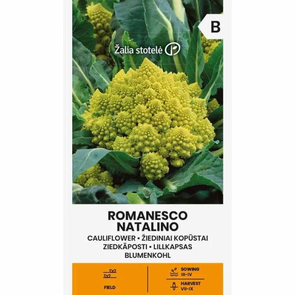 Zoom bilde av Blomkål 'Romanesco natalino'