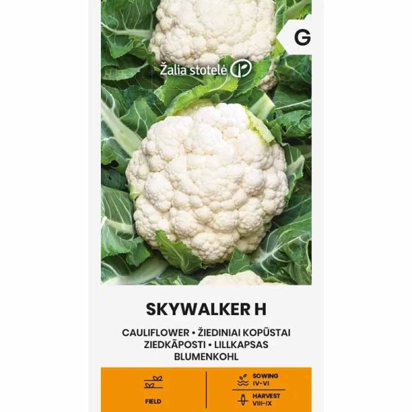 Zoom bilde av Blomkål 'Skywalker'