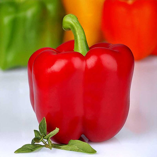 Zoom billede af Peberfrugt 'Red King' F1