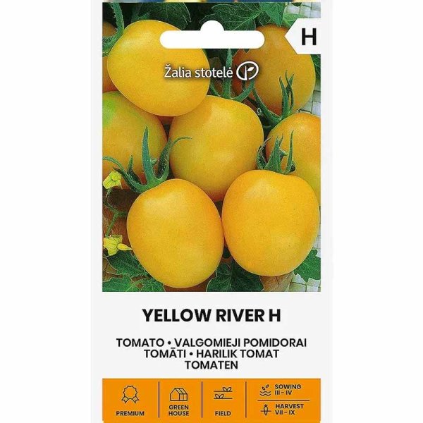 Zoom billede af Tomato Plommontomat 'Yellow river' H