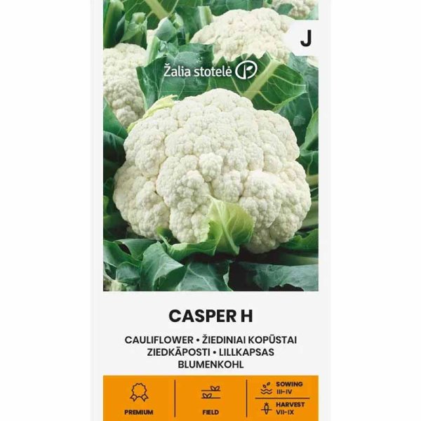 Zoom bilde av Blomkål 'Casper' H