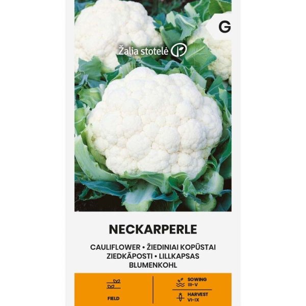 Zoom bilde av Blomkål 'Neckarperle'
