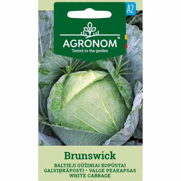 Zoom bilde av Hodekål 'Brunswick'