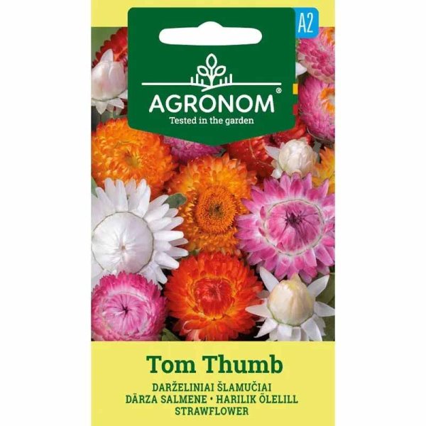 Zoom billede af Evighedsblomst 'Tom Thumb'