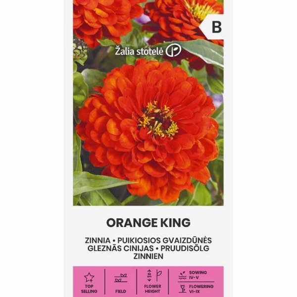 Zoom bilde av Zinnia 'Orange King'