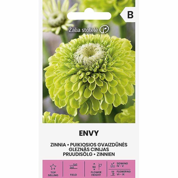 Zoom billede af Zinnia 'Envy'
