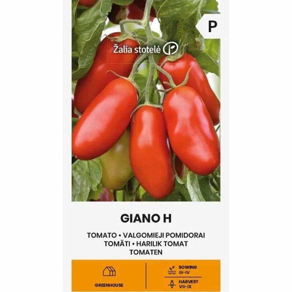 Zoom billede af Tomat 'Giano' H