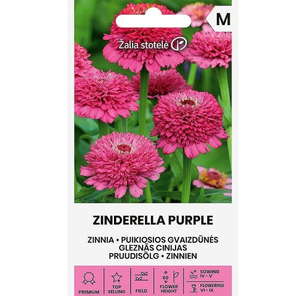 Zoom billede af Zinnia 'Zinderella Purple'