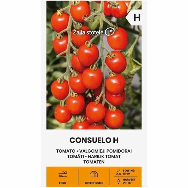 Zoom billede af Tomat 'Consuelo' H