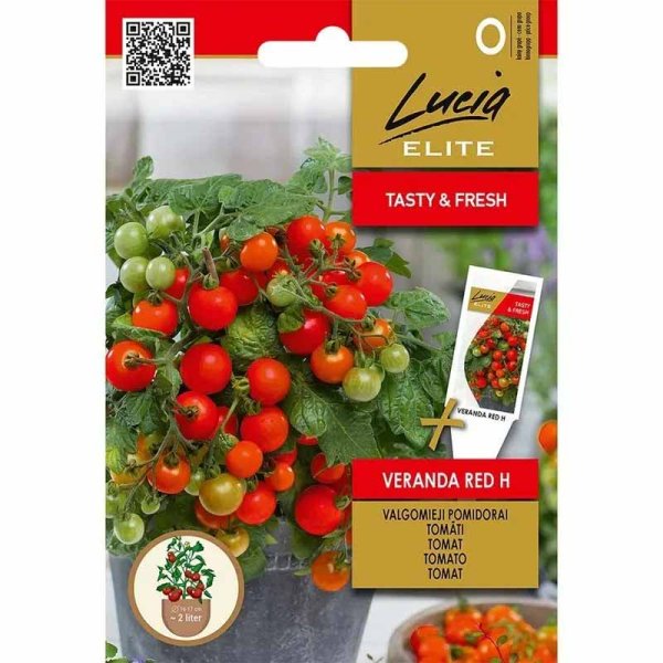 Zoom billede af Tomat 'Veranda red' H