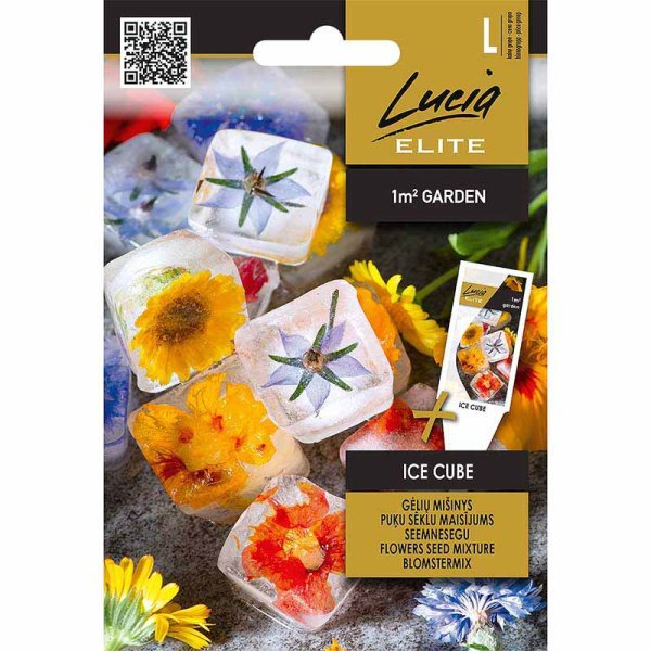 Zoom bilde av Blomsterblanding 'Ice Cube'