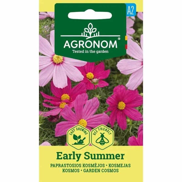 Zoom billede af Cosmos 'Early Summer'