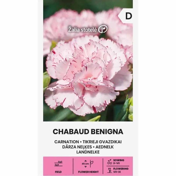Zoom billede af Have nellike 'Chabaud Benigna'