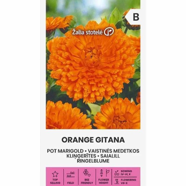 Zoom billede af Calendula 'Orange gitana'