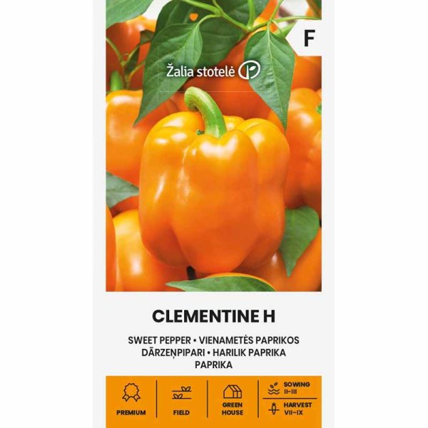 Zoom billede af Peberfrugt 'Clementine' H