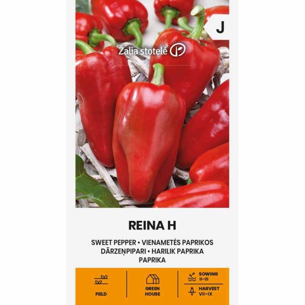 Zoom billede af Peberfrugt 'Reina' H